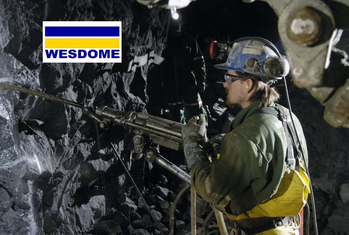 Wesdome Gold Mines Ltd.(tse:wdo)