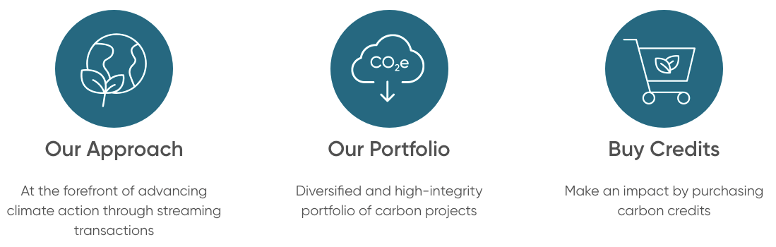 Carbon Streaming Corporation(netz)