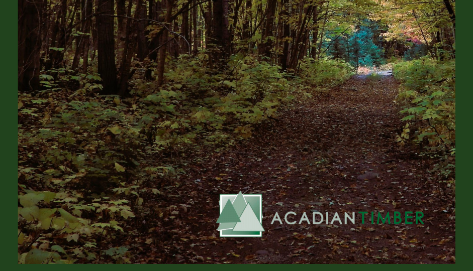 Acadian Timber Corp.(adn)