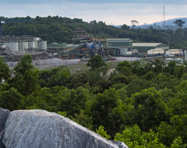 Galiano Gold Inc.(gau)