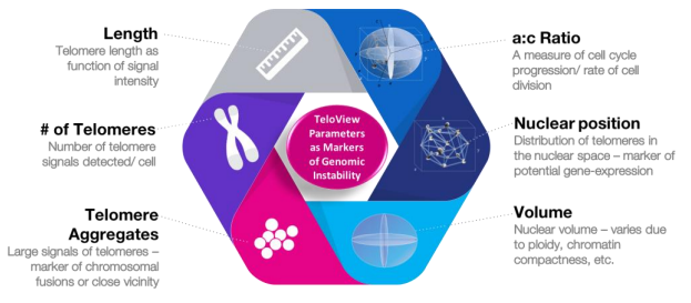 Telo Genomics Corp.(telo)